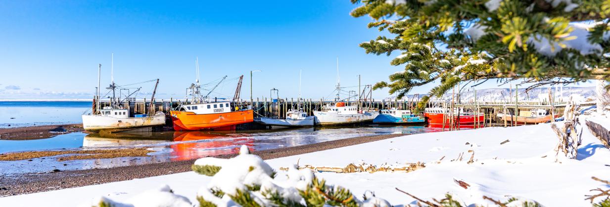 Low tide in Advocate harbour in the winter time