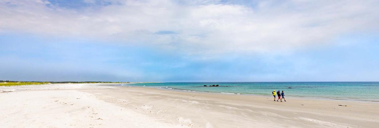 Photo of the beach in Clark's Harbour