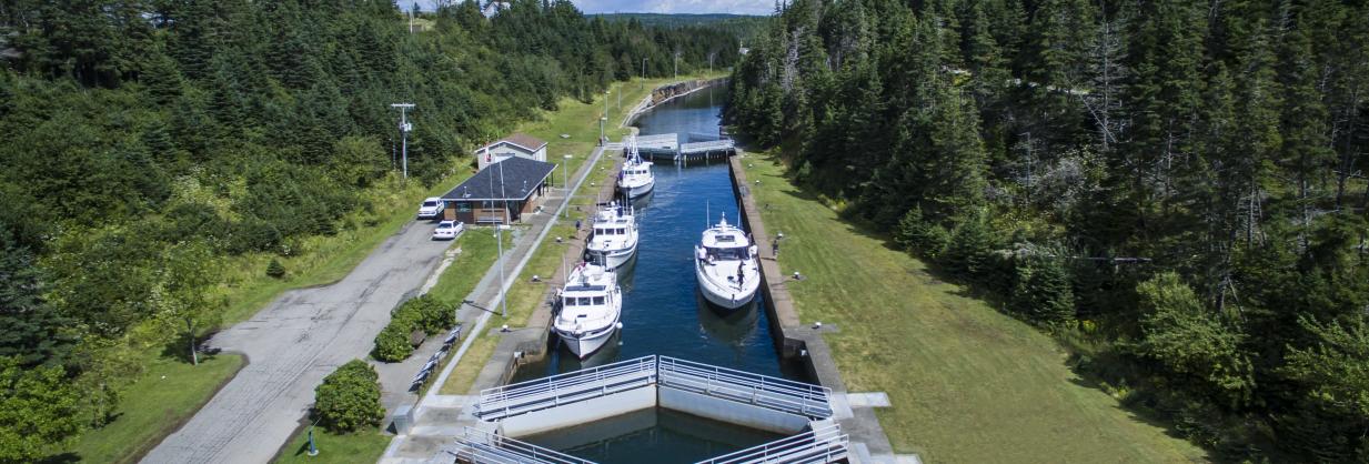 Photo of the locks in St. Peters