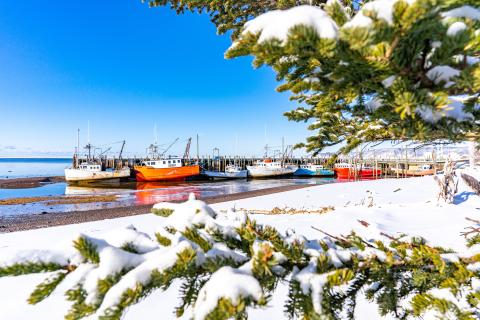 Low tide in Advocate harbour in the winter time