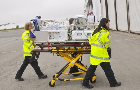 Paramedics at work