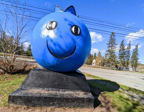 A photo of the oxford Blueberry