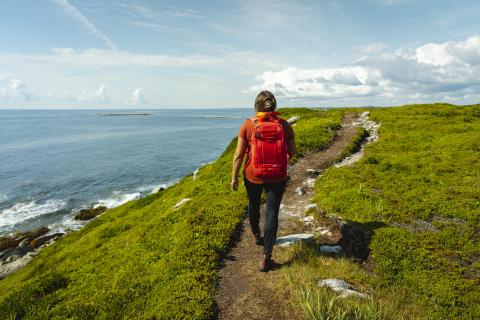 Photo of hiking at Taylor Head Provincial park