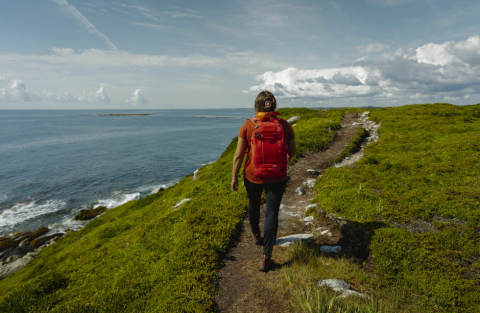 Hiker walking through Taylor Head Provincial Park