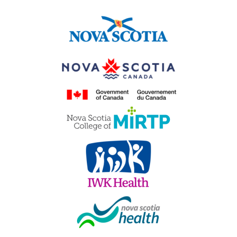 Logos of partners attending the MIRTP webinar 