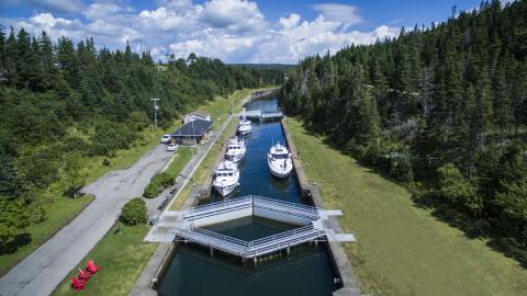 Photo of the locks in St. Peters
